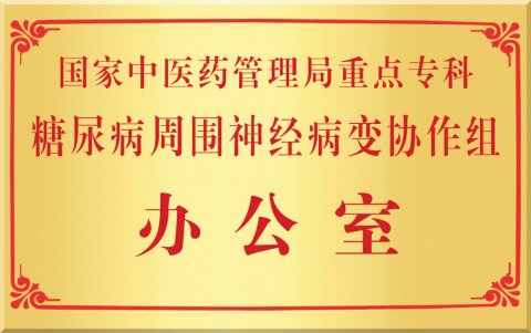 國家“十一五”重點中醫(yī)糖尿病周圍神經(jīng)病變協(xié)作組組長單位